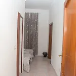 Camera Ciro